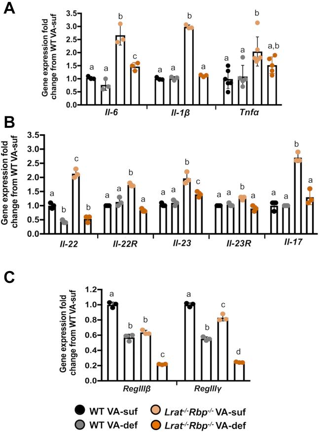 https://cdn.ncbi.nlm.nih.gov/pmc/blobs/e9cf/8020483/7fee6a827b63/gr7.jpg