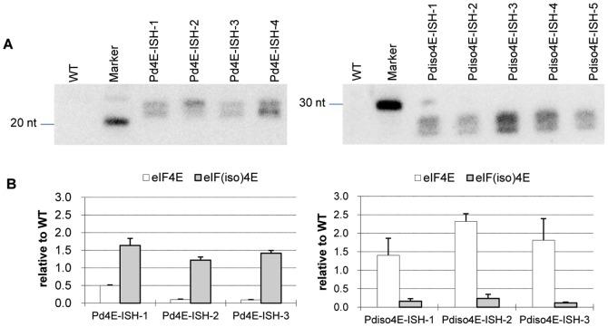 https://cdn.ncbi.nlm.nih.gov/pmc/blobs/e9d0/3557289/8c9a6fb28974/pone.0050627.g004.jpg