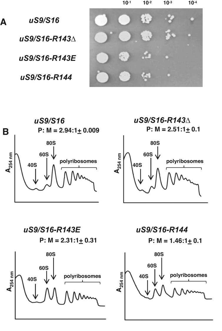 https://cdn.ncbi.nlm.nih.gov/pmc/blobs/e9d1/6344880/0bbbc5018b55/gky1180fig2.jpg