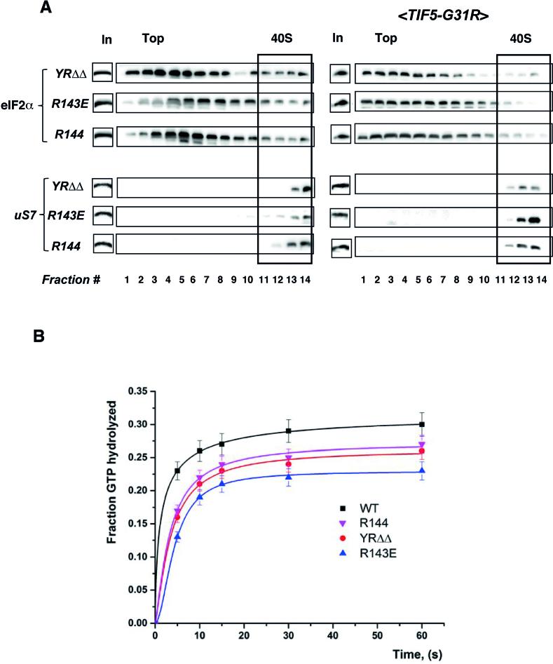 https://cdn.ncbi.nlm.nih.gov/pmc/blobs/e9d1/6344880/129862b84865/gky1180fig6.jpg