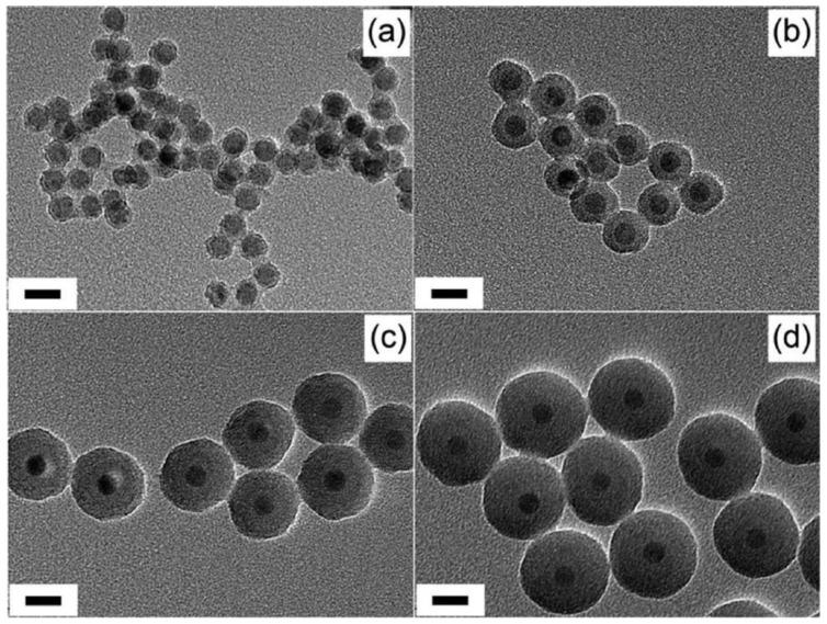 https://cdn.ncbi.nlm.nih.gov/pmc/blobs/e9d3/6215286/1af8e128fdf9/nanomaterials-08-00810-g002.jpg