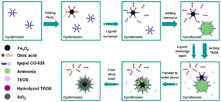 https://cdn.ncbi.nlm.nih.gov/pmc/blobs/e9d3/6215286/6e81e86b9809/nanomaterials-08-00810-g003.jpg