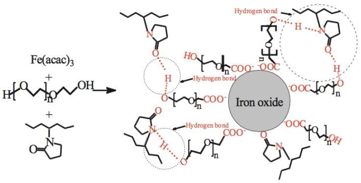 https://cdn.ncbi.nlm.nih.gov/pmc/blobs/e9d3/6215286/c2c0ae96055b/nanomaterials-08-00810-sch007.jpg