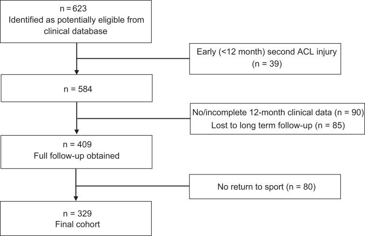https://cdn.ncbi.nlm.nih.gov/pmc/blobs/e9d4/6685123/0b09e121fd16/10.1177_2325967119863003-fig1.jpg