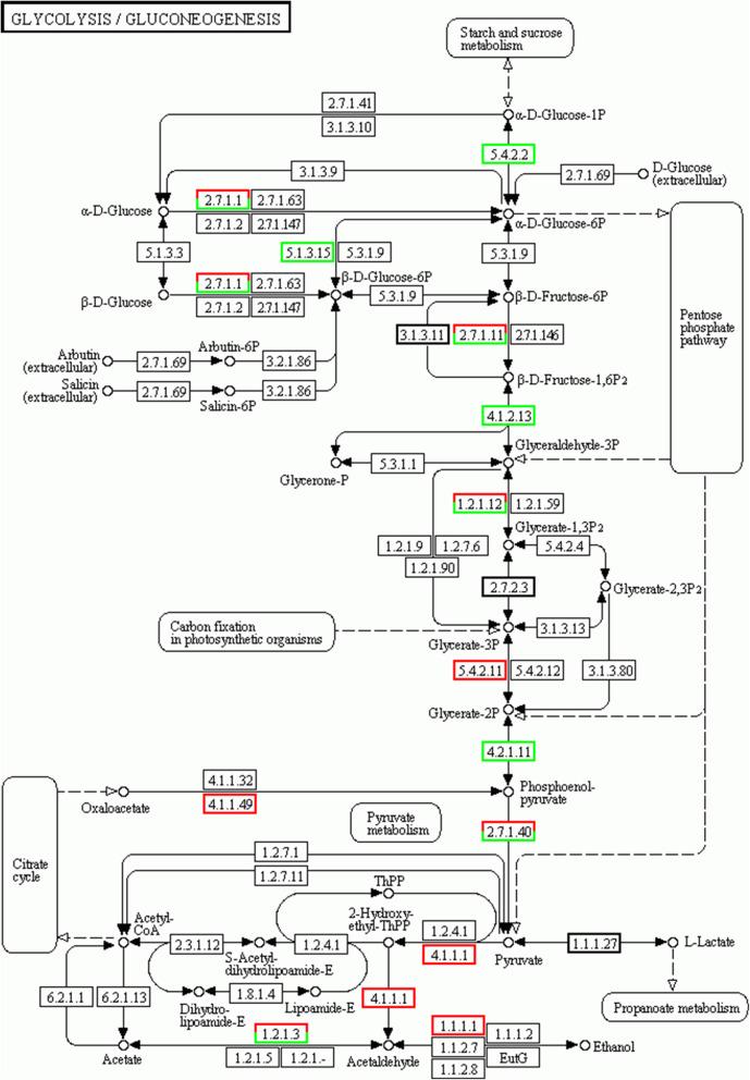 https://cdn.ncbi.nlm.nih.gov/pmc/blobs/e9d4/8056498/2301164bada8/12870_2021_2963_Fig8_HTML.jpg