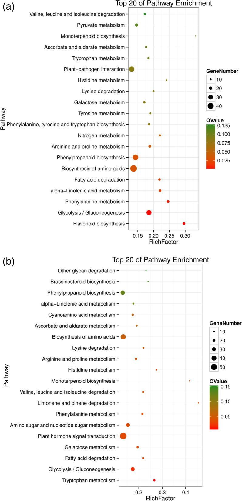 https://cdn.ncbi.nlm.nih.gov/pmc/blobs/e9d4/8056498/241b15712db4/12870_2021_2963_Fig7_HTML.jpg