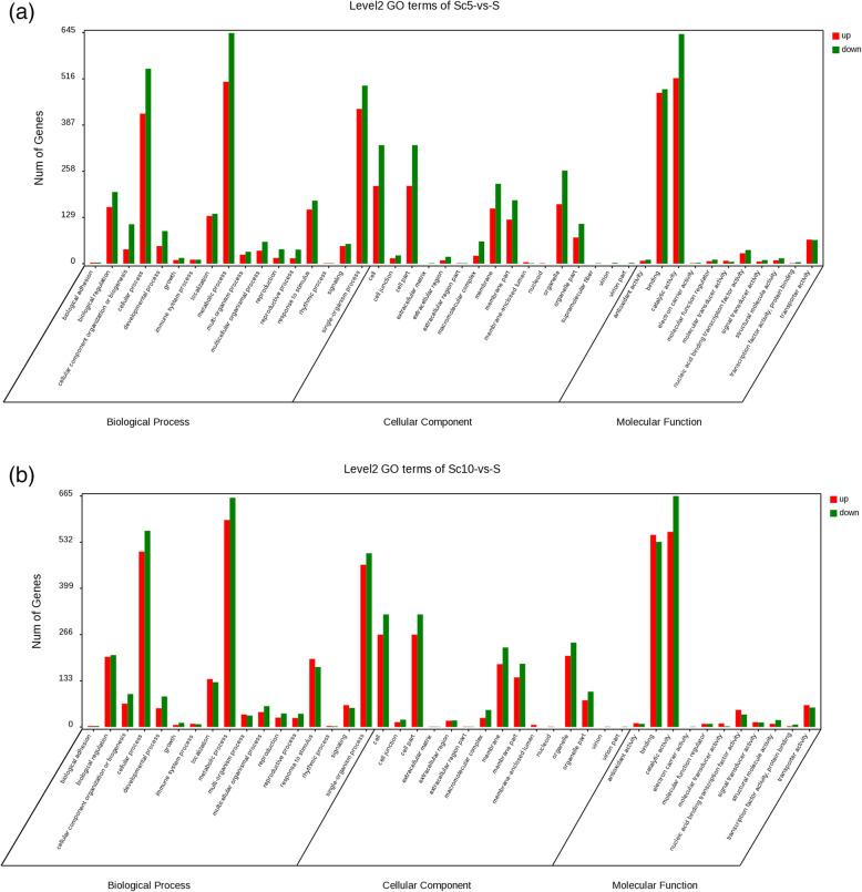 https://cdn.ncbi.nlm.nih.gov/pmc/blobs/e9d4/8056498/ecd0c74f012a/12870_2021_2963_Fig6_HTML.jpg
