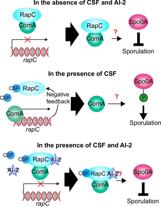 https://cdn.ncbi.nlm.nih.gov/pmc/blobs/e9d8/11532509/7d17c8808b73/41522_2024_594_Fig6_HTML.jpg