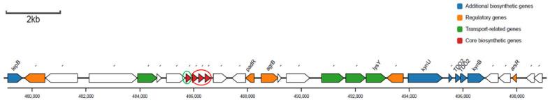 https://cdn.ncbi.nlm.nih.gov/pmc/blobs/e9d8/11943950/5ab38dcea92e/marinedrugs-23-00095-g005.jpg