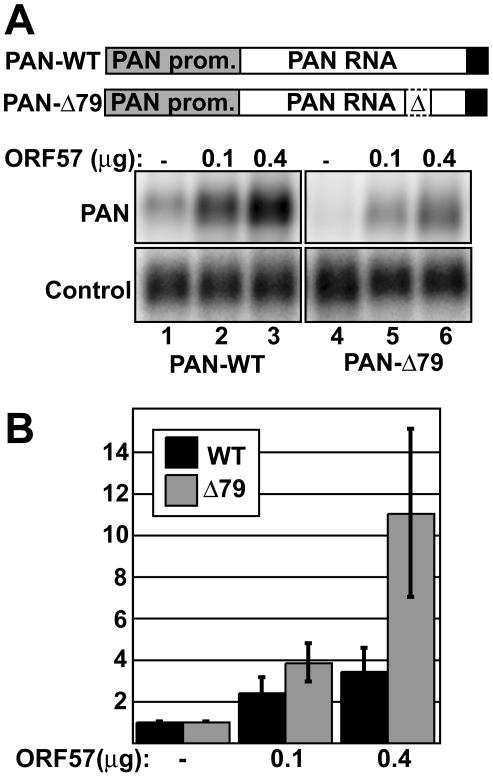 https://cdn.ncbi.nlm.nih.gov/pmc/blobs/e9d8/2832700/60d402ecb035/ppat.1000799.g001.jpg