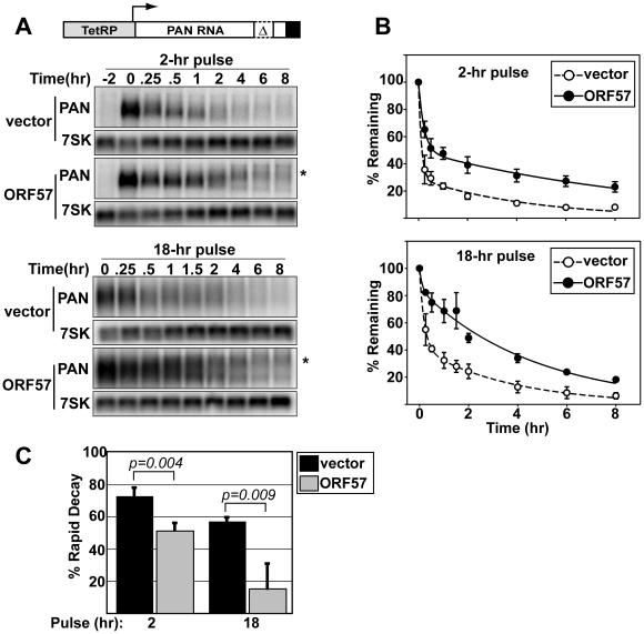 https://cdn.ncbi.nlm.nih.gov/pmc/blobs/e9d8/2832700/9e8a6d825ea7/ppat.1000799.g002.jpg