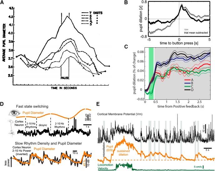 https://cdn.ncbi.nlm.nih.gov/pmc/blobs/e9d9/5788057/e552593d4b03/enu0061724910001.jpg
