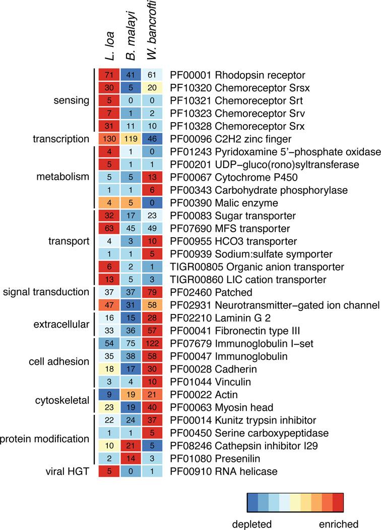 https://cdn.ncbi.nlm.nih.gov/pmc/blobs/e9dc/4238225/5a45feb06e8e/nihms474969f2.jpg