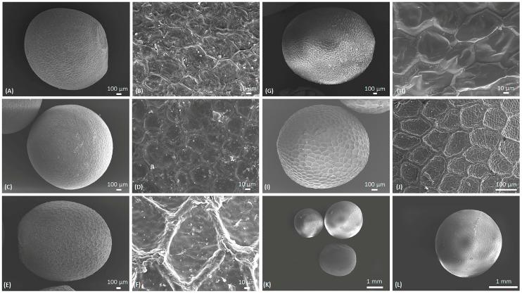 https://cdn.ncbi.nlm.nih.gov/pmc/blobs/e9dd/11243287/339100296a43/molecules-29-02965-g002.jpg