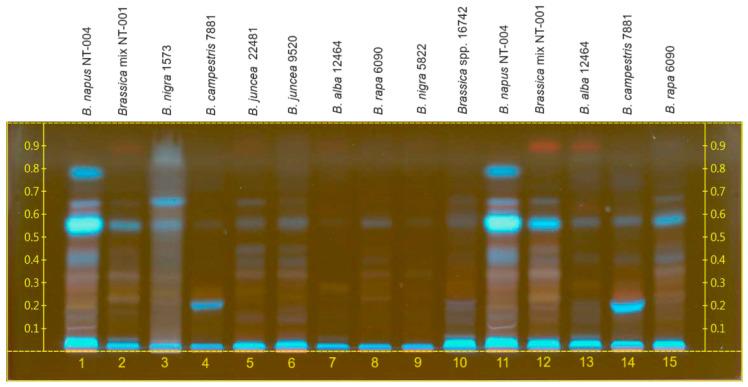 https://cdn.ncbi.nlm.nih.gov/pmc/blobs/e9dd/11243287/a9a3c5d9639c/molecules-29-02965-g003.jpg