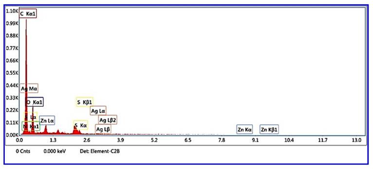 https://cdn.ncbi.nlm.nih.gov/pmc/blobs/e9dd/9867364/bf7a062de943/materials-16-00777-g004.jpg