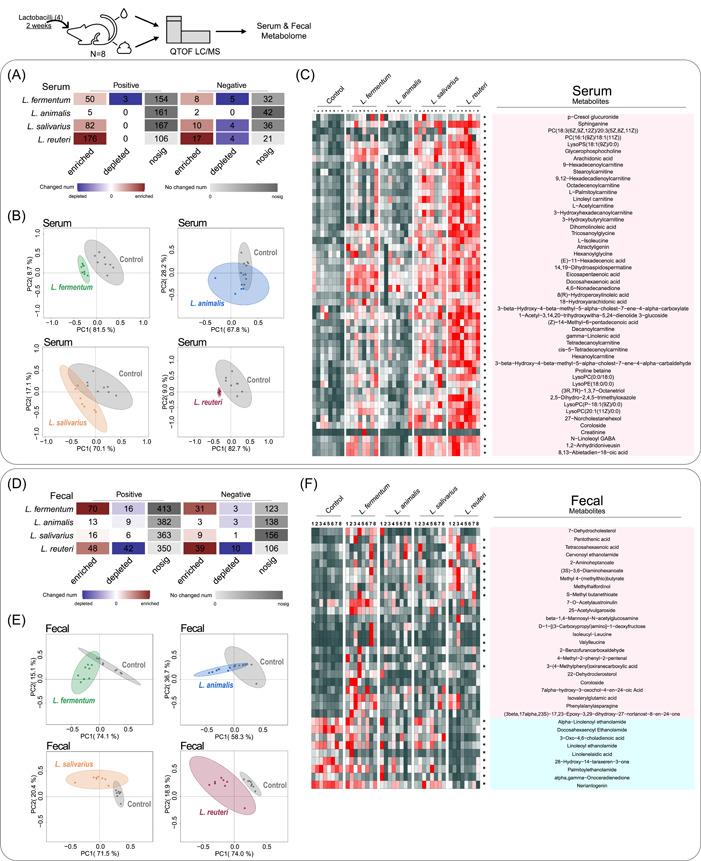 https://cdn.ncbi.nlm.nih.gov/pmc/blobs/e9df/10989828/0bf990434b71/IMT2-2-e128-g001.jpg