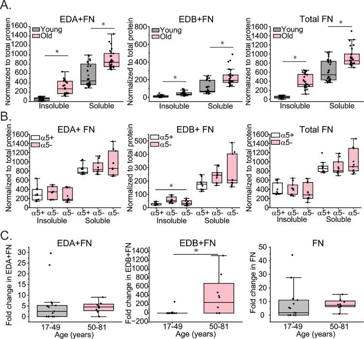 https://cdn.ncbi.nlm.nih.gov/pmc/blobs/e9e1/12161370/691dc8581d92/iovs-66-6-31-f007.jpg