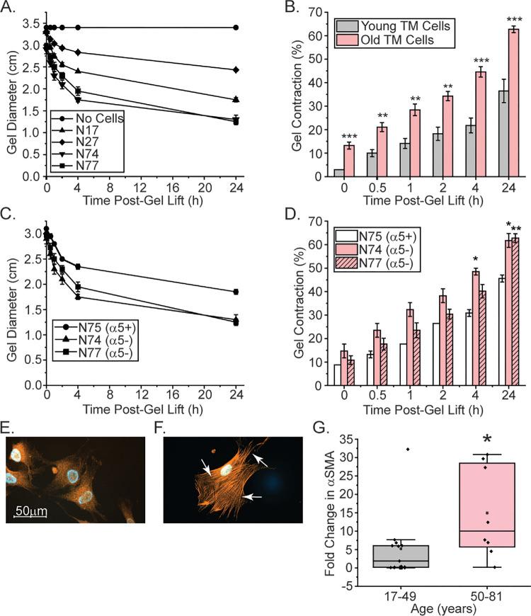 https://cdn.ncbi.nlm.nih.gov/pmc/blobs/e9e1/12161370/d88f4d8fa9e8/iovs-66-6-31-f004.jpg