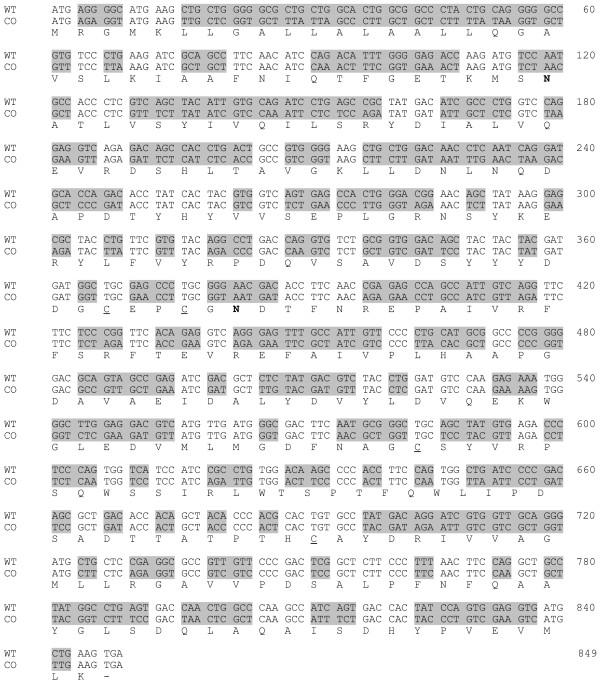 https://cdn.ncbi.nlm.nih.gov/pmc/blobs/e9e4/1431531/dddedd1ef8d2/1472-6750-6-19-1.jpg
