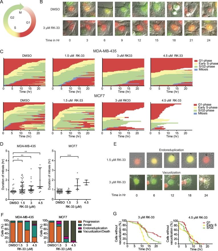 https://cdn.ncbi.nlm.nih.gov/pmc/blobs/e9e4/6050443/faf7305b0f47/gr3.jpg