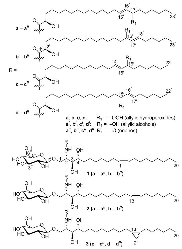 https://cdn.ncbi.nlm.nih.gov/pmc/blobs/e9e4/7767537/68fcb1751963/molecules-25-06047-g001.jpg