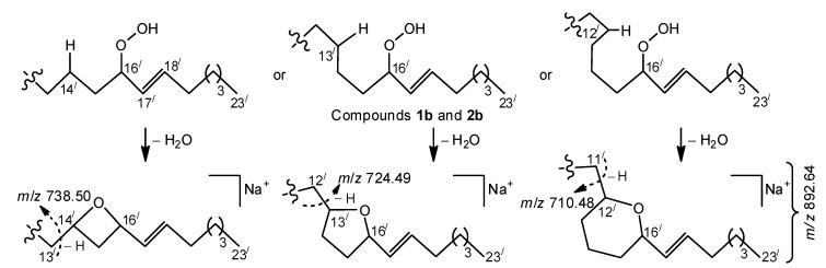 https://cdn.ncbi.nlm.nih.gov/pmc/blobs/e9e4/7767537/b768be8d1090/molecules-25-06047-sch002.jpg