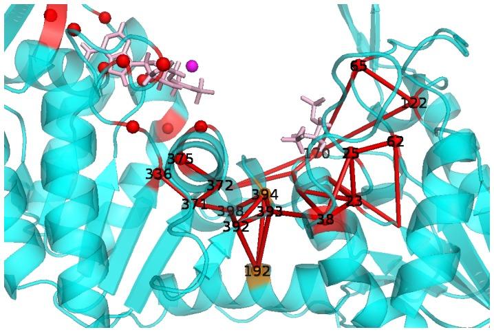 https://cdn.ncbi.nlm.nih.gov/pmc/blobs/e9e5/3900376/d040ddc7156d/pcbi.1003444.g005.jpg