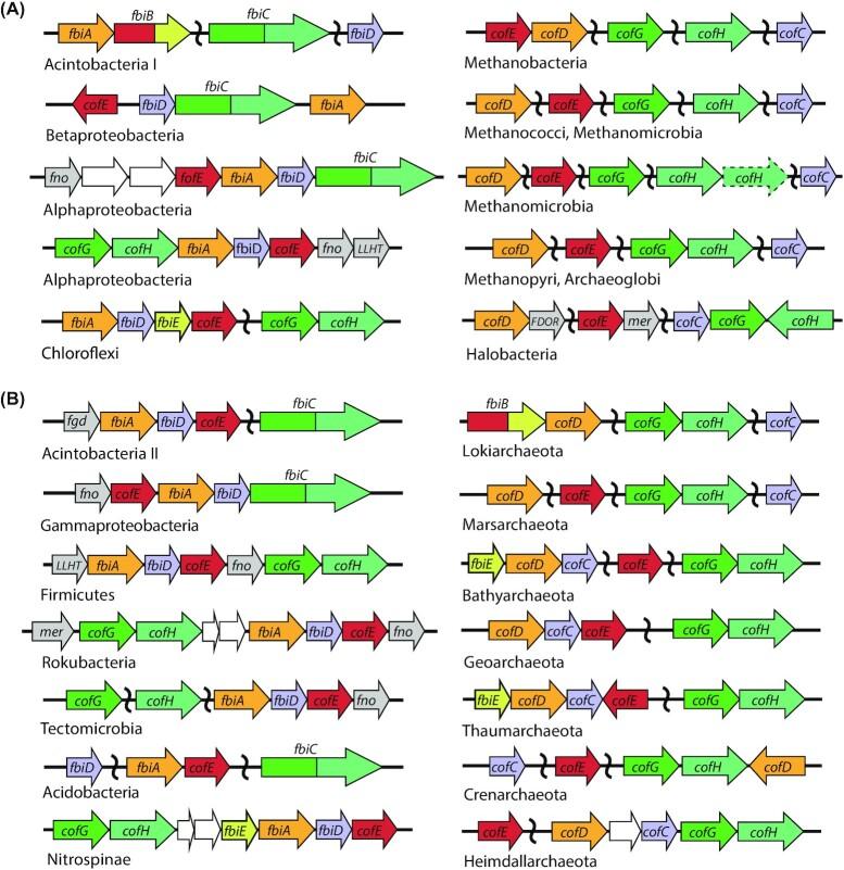 https://cdn.ncbi.nlm.nih.gov/pmc/blobs/e9e7/8498797/290fa4c814ce/fuab021fig10.jpg