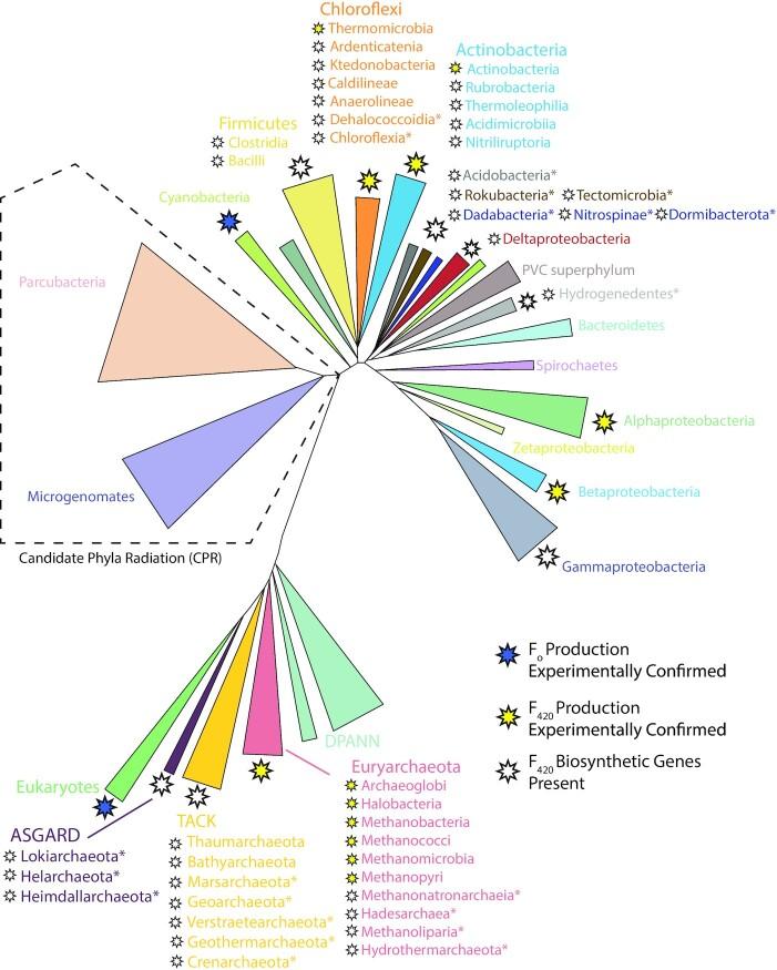https://cdn.ncbi.nlm.nih.gov/pmc/blobs/e9e7/8498797/2fa5f65c6d05/fuab021fig5.jpg