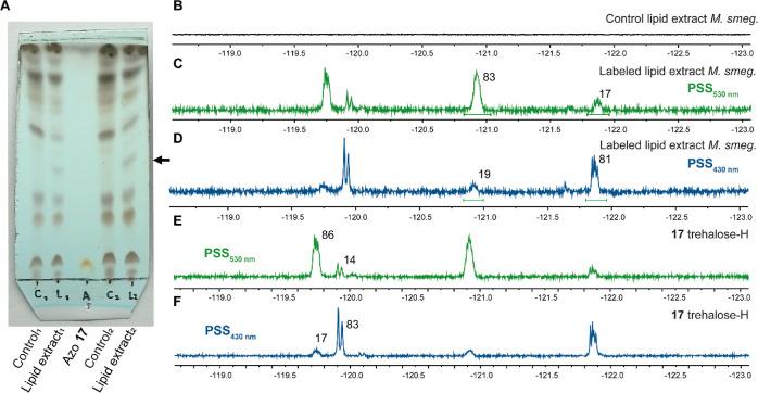 https://cdn.ncbi.nlm.nih.gov/pmc/blobs/e9e8/9639001/dfbaa04eda7d/jo2c01777_0007.jpg