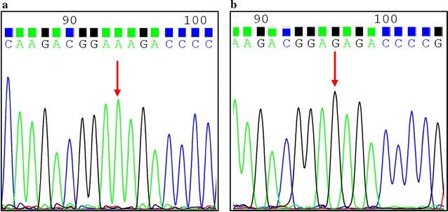 https://cdn.ncbi.nlm.nih.gov/pmc/blobs/e9e9/5863438/6da5ef73244b/12941_2018_259_Fig1_HTML.jpg
