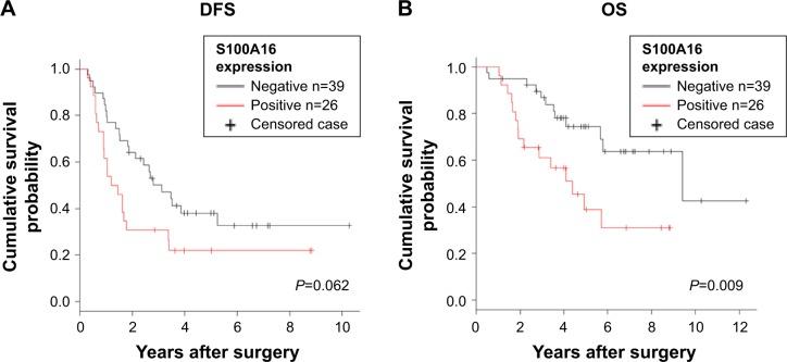 https://cdn.ncbi.nlm.nih.gov/pmc/blobs/e9eb/5679695/2ff79522300d/ott-10-5273Fig2.jpg