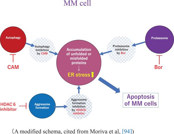 https://cdn.ncbi.nlm.nih.gov/pmc/blobs/e9eb/7498274/7bc35611b4c5/can-14-1088fig2.jpg