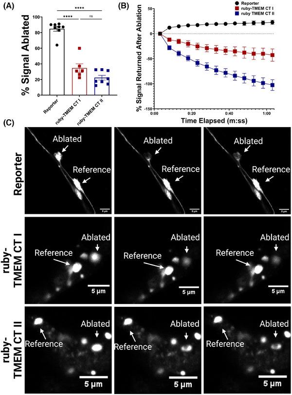 https://cdn.ncbi.nlm.nih.gov/pmc/blobs/e9ec/11848199/6984ded7180c/ALZ-21-e14468-g003.jpg
