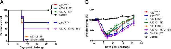 https://cdn.ncbi.nlm.nih.gov/pmc/blobs/e9ed/3722049/78067e28382a/1743-422X-10-229-7.jpg