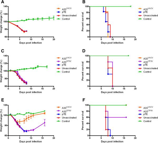 https://cdn.ncbi.nlm.nih.gov/pmc/blobs/e9ed/3722049/7d5ad9a93a5e/1743-422X-10-229-4.jpg