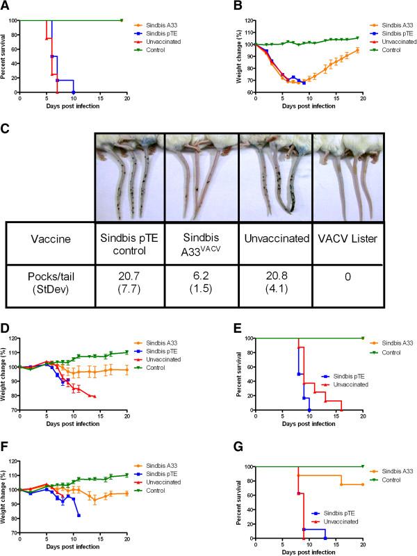 https://cdn.ncbi.nlm.nih.gov/pmc/blobs/e9ed/3722049/e62df75df327/1743-422X-10-229-3.jpg