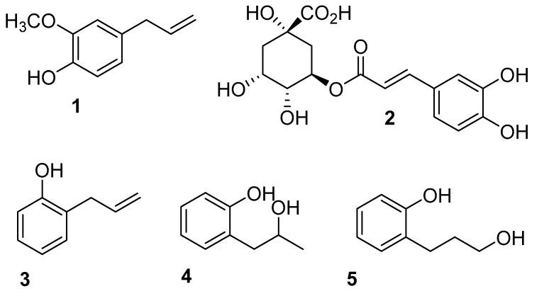 https://cdn.ncbi.nlm.nih.gov/pmc/blobs/e9ee/10095406/9e3df23c448b/ijms-24-06530-g001.jpg