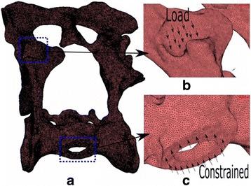 https://cdn.ncbi.nlm.nih.gov/pmc/blobs/e9ee/5859441/2b019ffe2592/12917_2018_1416_Fig2_HTML.jpg