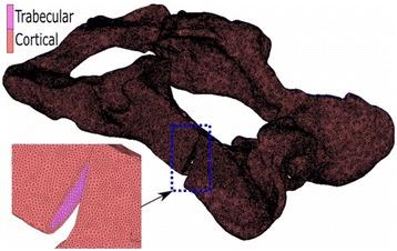 https://cdn.ncbi.nlm.nih.gov/pmc/blobs/e9ee/5859441/acb13d5d8e26/12917_2018_1416_Fig1_HTML.jpg