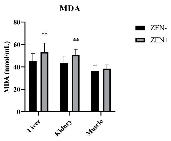 https://cdn.ncbi.nlm.nih.gov/pmc/blobs/e9f0/10525666/ecaf2dc2424b/antioxidants-12-01748-g001.jpg