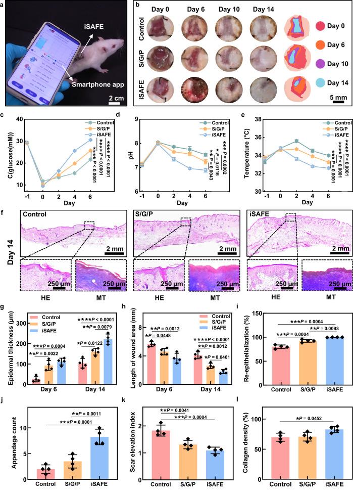 https://cdn.ncbi.nlm.nih.gov/pmc/blobs/e9f0/12218315/590a0a249087/41467_2025_61261_Fig5_HTML.jpg