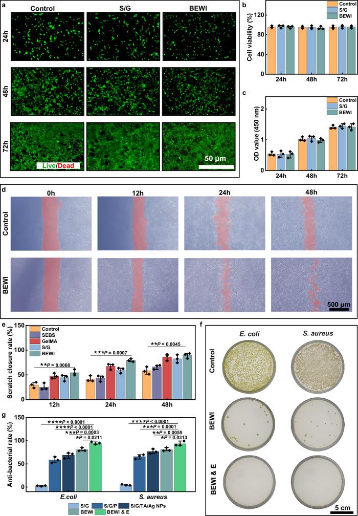 https://cdn.ncbi.nlm.nih.gov/pmc/blobs/e9f0/12218315/881e7c8ab974/41467_2025_61261_Fig3_HTML.jpg