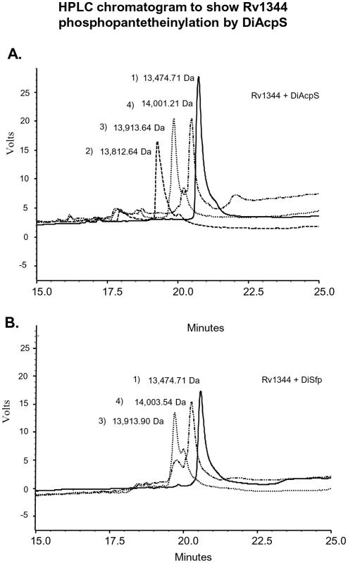 https://cdn.ncbi.nlm.nih.gov/pmc/blobs/e9f0/3171403/f19f350fe1d5/pone.0024262.g005.jpg