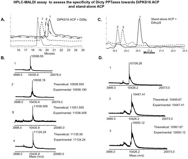 https://cdn.ncbi.nlm.nih.gov/pmc/blobs/e9f0/3171403/fbb24cde6976/pone.0024262.g008.jpg