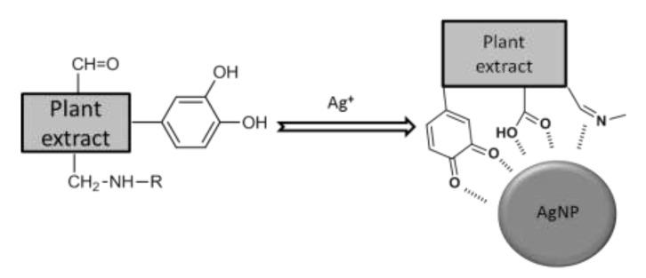 https://cdn.ncbi.nlm.nih.gov/pmc/blobs/e9f1/8658848/f50af3ab4903/molecules-26-07325-g003.jpg