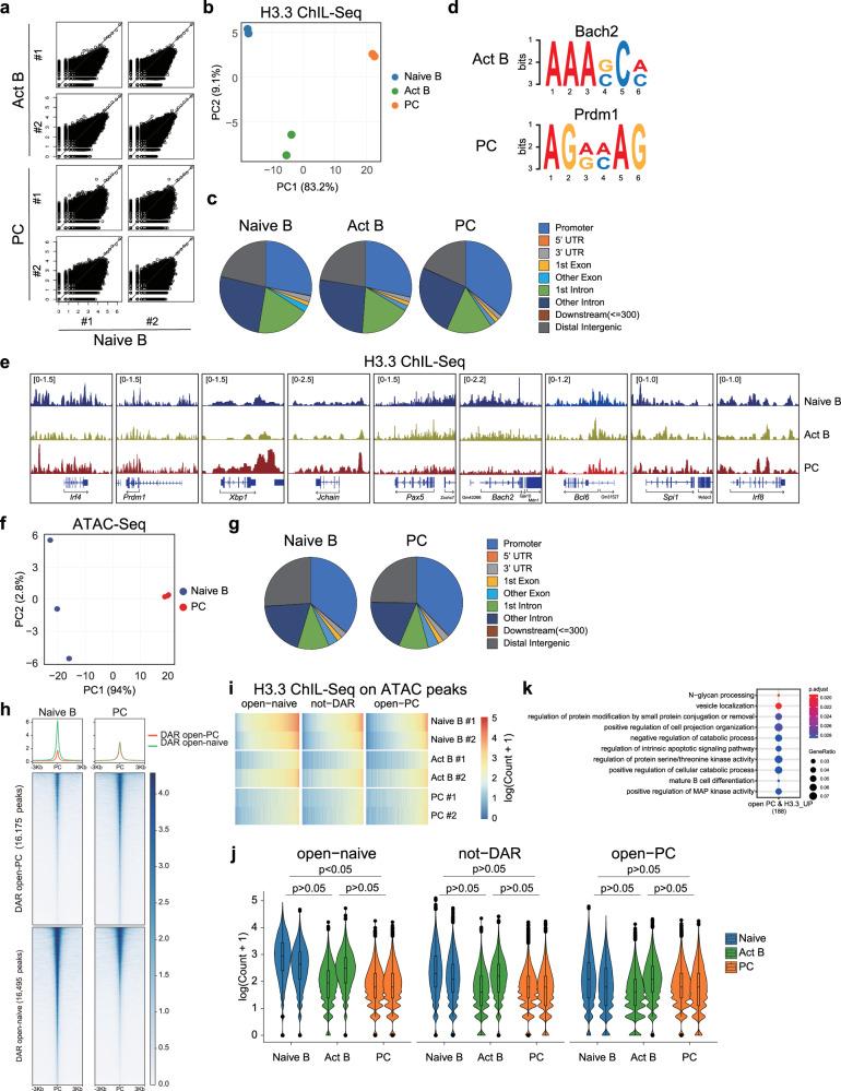 https://cdn.ncbi.nlm.nih.gov/pmc/blobs/e9f4/11190180/b3743bf0706d/41467_2024_49375_Fig2_HTML.jpg
