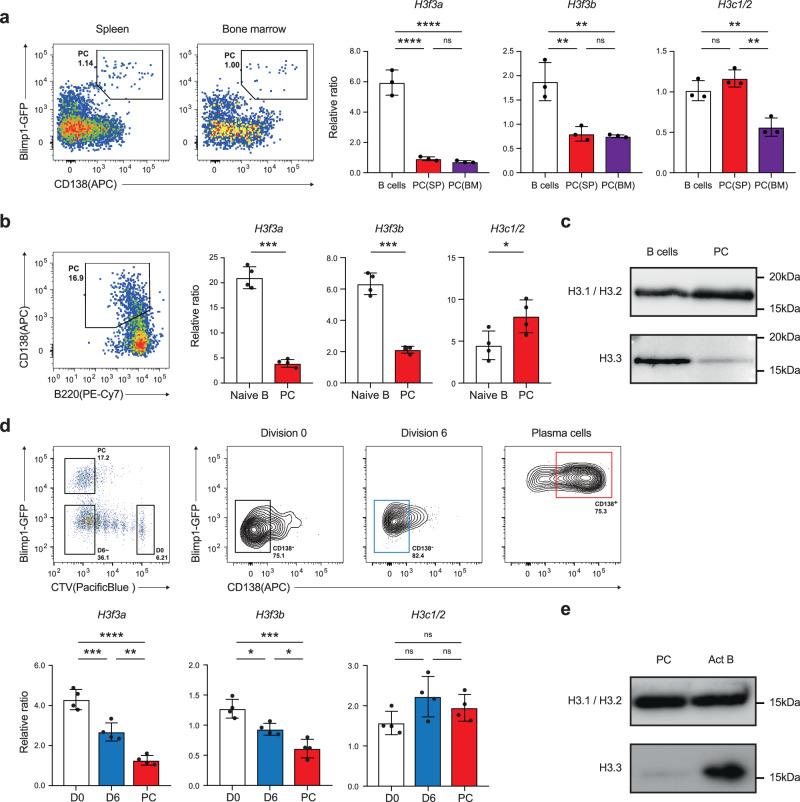 https://cdn.ncbi.nlm.nih.gov/pmc/blobs/e9f4/11190180/b4c75d166add/41467_2024_49375_Fig1_HTML.jpg