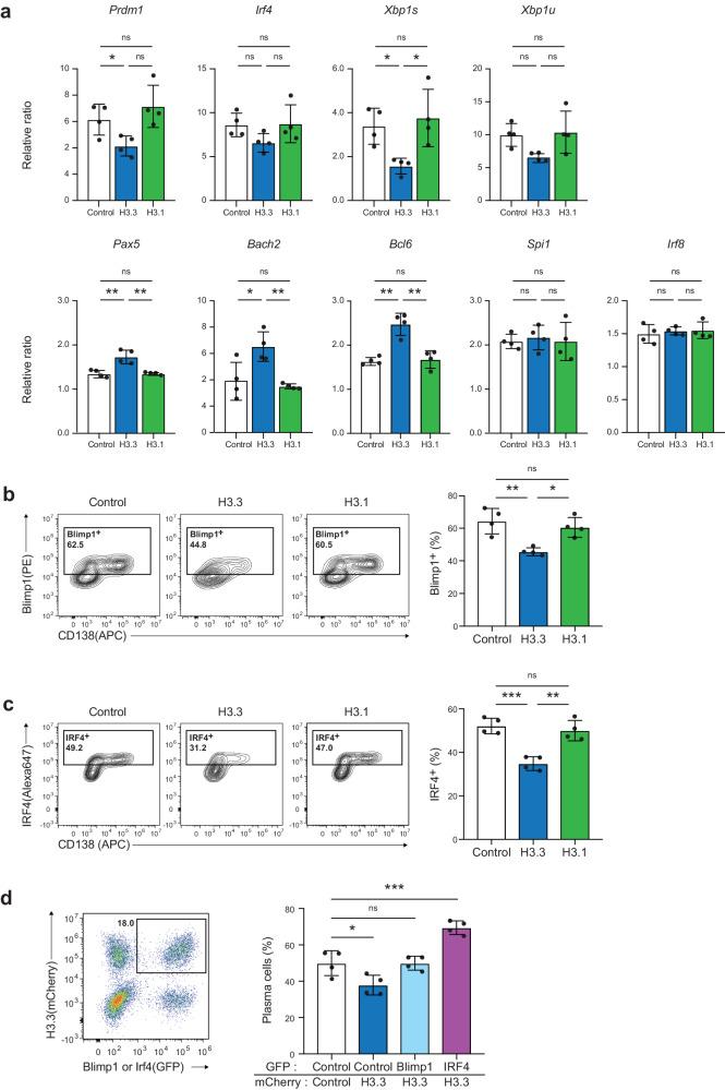 https://cdn.ncbi.nlm.nih.gov/pmc/blobs/e9f4/11190180/be241c4c9759/41467_2024_49375_Fig5_HTML.jpg